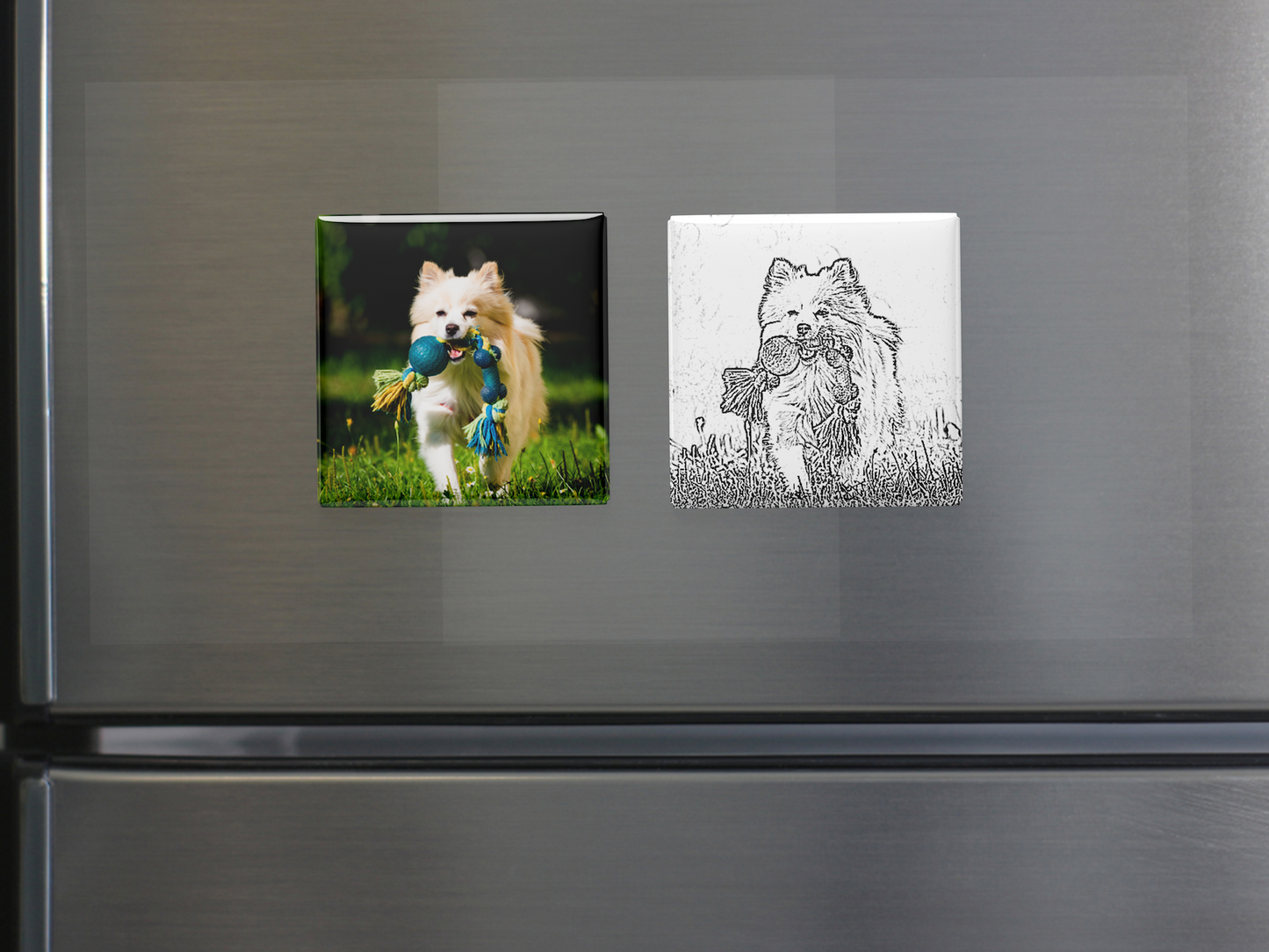 Custom Sketch Fridge Magnets – Digital Pencil Drawing from Photo ( Set of 6)