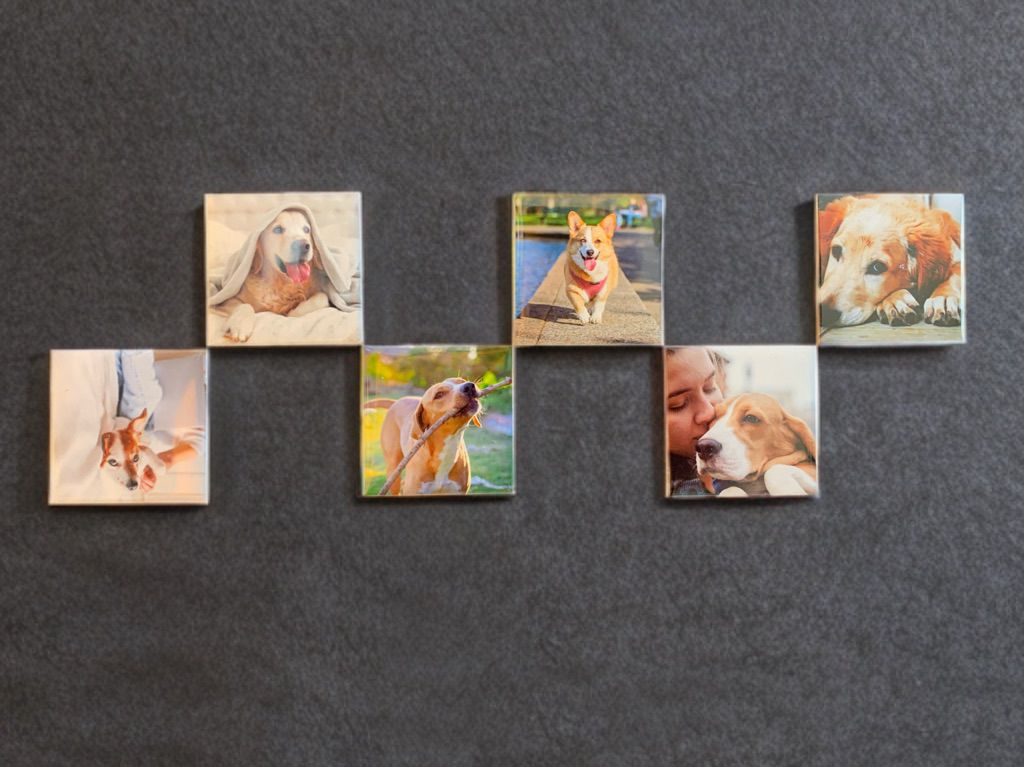 Custom Photo Magnets