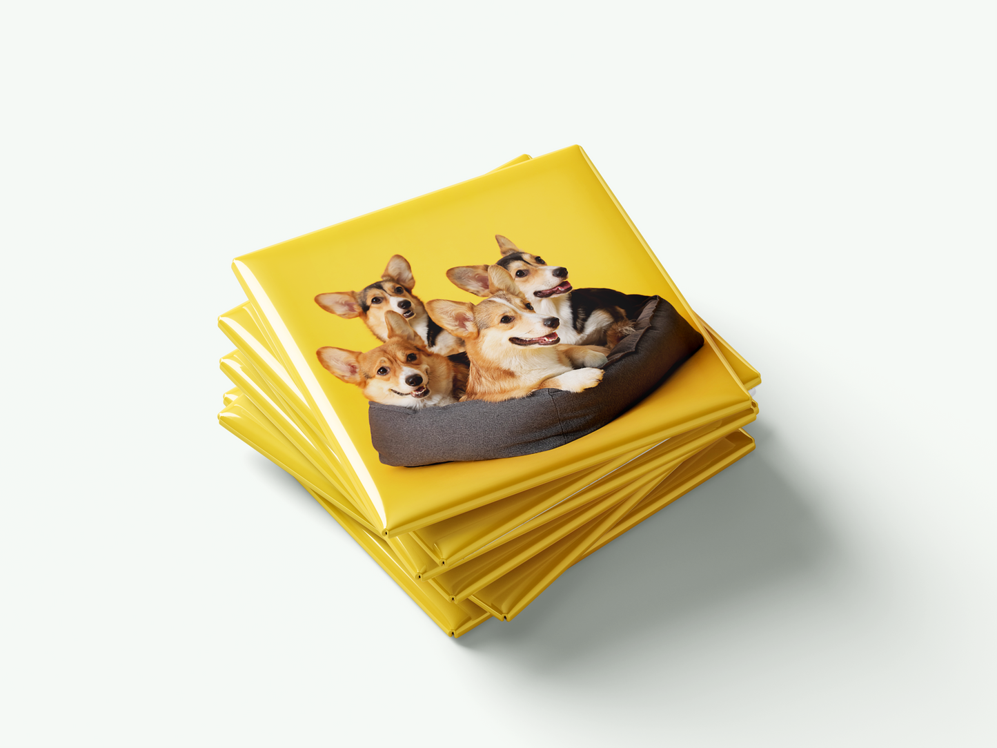 Custom Photo Magnets